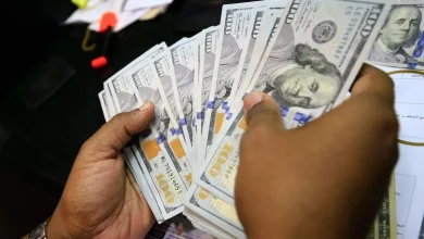 India's foreign exchange reserves remain above $700 billion