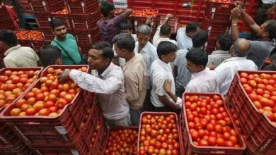 On the third day of Navratri, the price of tomatoes increased by Rs 20 in 24 hours