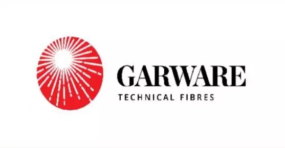 Garware Technical Fibres share price up 13.62%