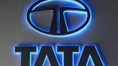 These companies of Tata Group gave good returns in 2024