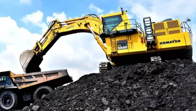 Coal India share price up 0.07%