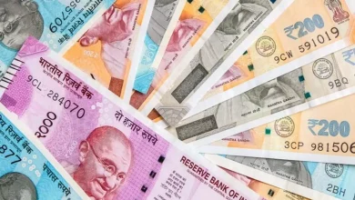 Rupee will fall marginally against the dollar in the year 2025- Report