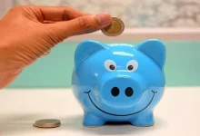 Fund flow through MF will remain volatile in the near future- Report