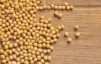 China lifts import ban on five Brazilian soy producers