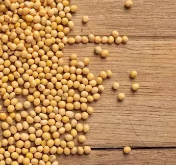 China lifts import ban on five Brazilian soy producers