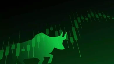 Sensex, Nifty rise amid volatile trading
