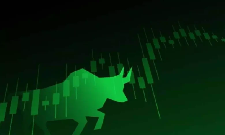 Sensex, Nifty rise amid volatile trading