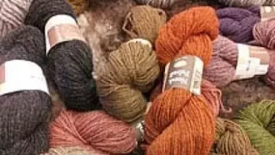 India's cotton yarn industry may grow at 9 percent in FY 2025-26: Report