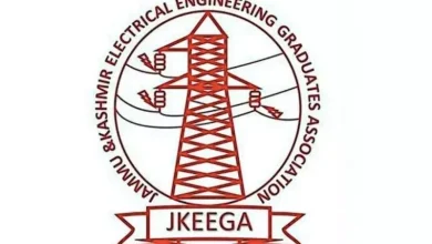 Power engineers accuse government of delaying regularization