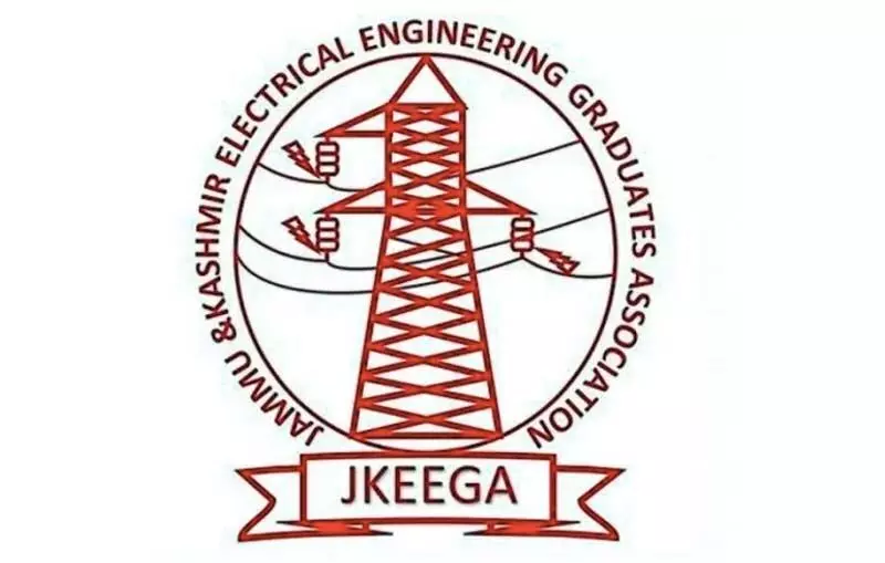 Power engineers accuse government of delaying regularization