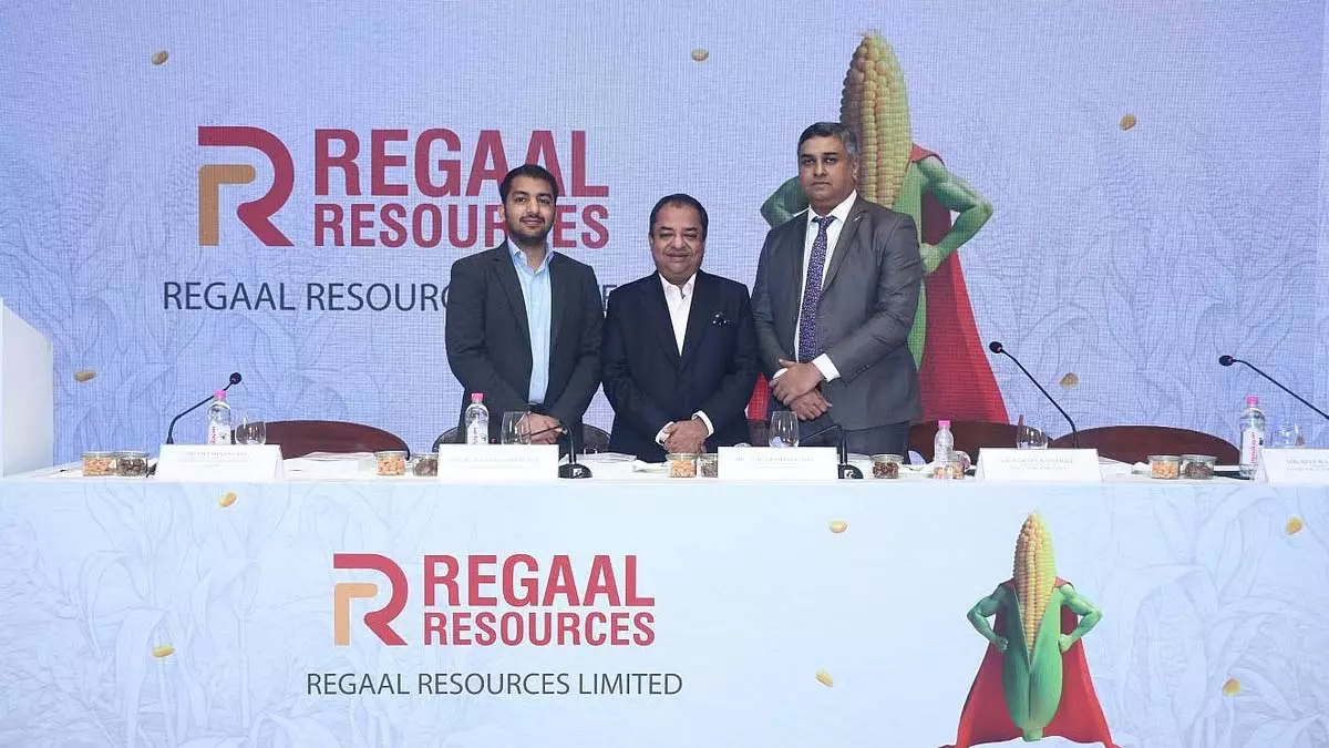 Kolkata-based Regal Resources' ₹210 crore IPO to open on Aug 12