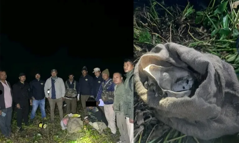 Assam: Tiger bones recovered in Kaziranga, five detained