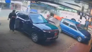 Four people, including a five-year-old child, died in separate accidents in Palakkad and Alappuzh