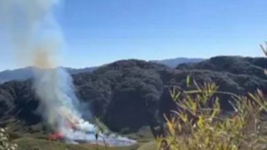 Nagaland: A massive forest fire has broken out in the Western Zukou Valley