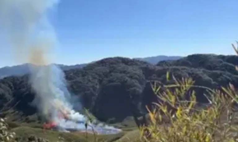 Nagaland: A massive forest fire has broken out in the Western Zukou Valley