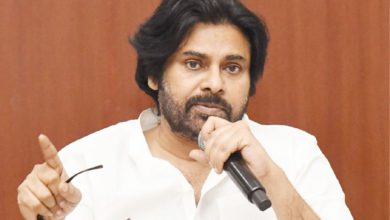 The Delhi High Court has passed an order to protect Pawan Kalyan's personality rights.