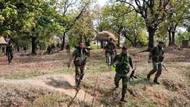 Bijapur: Bodies of 18 Maoists recovered, three security personnel martyred in encounter