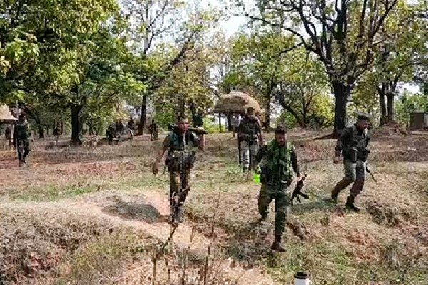 Bijapur: Bodies of 18 Maoists recovered, three security personnel martyred in encounter