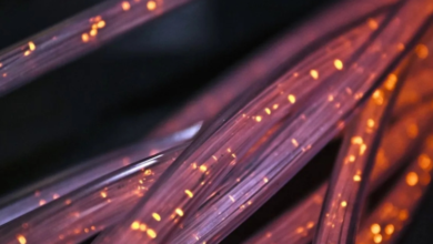 An IT and data ecosystem zone will be developed in Tripura: CM