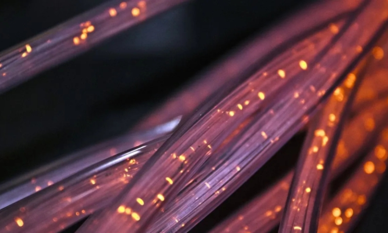 An IT and data ecosystem zone will be developed in Tripura: CM