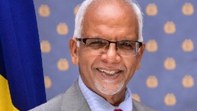 Mauritius President's religious visit to Andhra , worships in the temple