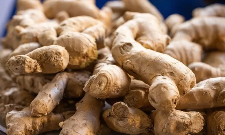 Mizoram: Investigation reveals Rs 4.5 crore ginger subsidy fraud