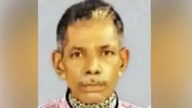 Kerala: Owner electrocuted while trying to retrieve a cow that died due to lightning