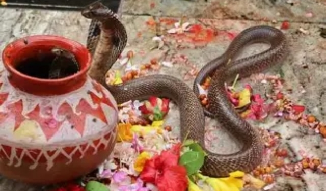 Berhampur: Snakes banned during Danda Yatra; RCCF issues strict guidelines