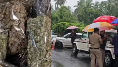 Kerala: Two people caught with 35 kg of cannabis