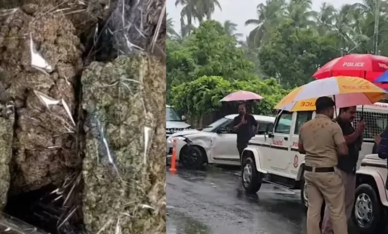 Kerala: Two people caught with 35 kg of cannabis