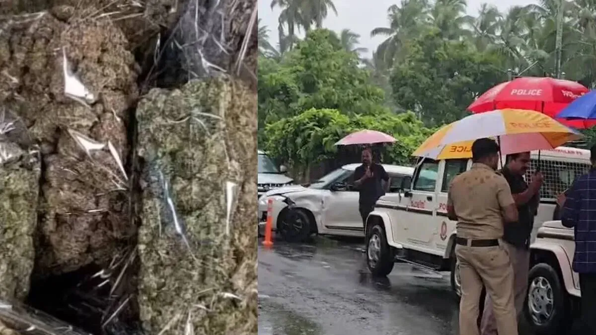 Kerala: Two people caught with 35 kg of cannabis