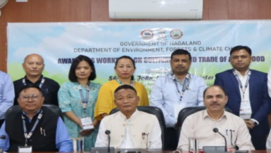 Minister CL John: Nagaland to play a key role in agarwood production