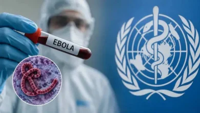 Alert at Kottayam MCH: Sudanese woman under observation after showing Ebola symptoms