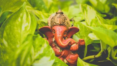 Budhwar Ke Upay: Do this work on Wednesday, Bappa will remove every problem