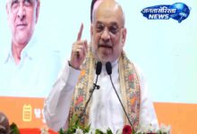 Amit Shah: Central security forces planted 7 crore trees in 7 years