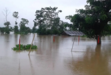 Deluge in Golaghat: Dozens of villages in Khumtai submerged, 52,000 people affected