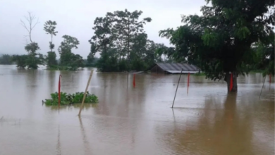 Deluge in Golaghat: Dozens of villages in Khumtai submerged, 52,000 people affected